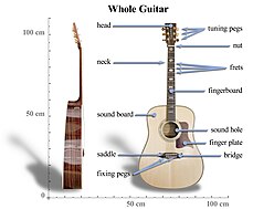 Basic anatomy of a classical guitar