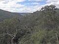 The river valley looking north from The Bluff Lookout high above the river in the Mitchell River National Park
