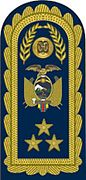 Divisa de teniente general de la Fuerza Aérea Ecuatoriana.