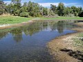 Butte College Wildlife Refuge