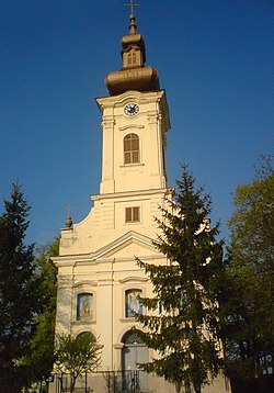 The Orthodox Church