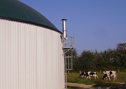 Left: Farm-based maize silage digester located near Neumünster in Germany, 2007 - the green, inflatable biogas holder is shown on top of the digester. Right: Two-stage, low solids, UASB digestion component of a mechanical biological treatment system near Tel Aviv; the process water is seen in balance tank and sequencing batch reactor, 2005.