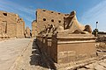 Ram-headed sphinx statues at Karnak