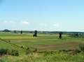 The Romanian Plain, in the southern part of Argeș County (the Pitești Plain)