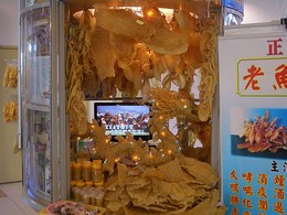 Swim bladder display in a Malacca shopping mall