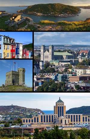 From top, left to right: Sunset from Signal Hill, Row Houses, Cabot Tower on Signal Hill, the Basilica of St. John the Baptist, the Confederation Building