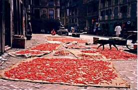 Chili peppers drying in Kathmandu, Nepal