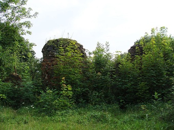 Руины замка Фишхаузен.