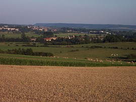 A view of the village of Cesse seen from Luzy-Saint-Martin