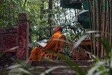 Buddhist Monk in Leshan