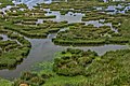 Partial panoramic view of Prokopos Lagoon within Strofylia Forrest, near Araxos village, Kalogria Village, Kalogria beach and Araxos Cape in Western Achaia, Greece.