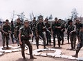 July 1968. Two 1st Cavalry Division LRP teams, Quang Tri.