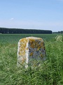 Border stone on the Belgian-Dutch border.