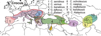 Карта распространения 16 видов рода Crocus в Европе и Азии 