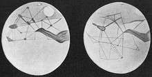 Historical map of Mars drawn by Giovanni Schiaparelli during the planet's "Great Opposition" of 1877.