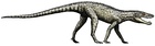 Hesperosuchus agilis