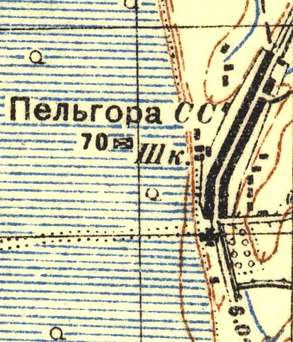 План деревни Пельгора. 1937 год