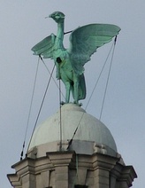 The Liver Building, with a closeup of one of the liver birds