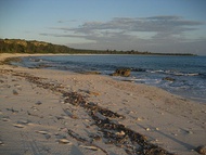 Playa Mujeres