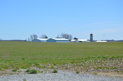 Fields southwest of Leesburg