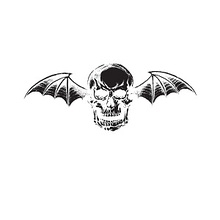 A human skull with bat wings protruding out of its ears on top of a white background.