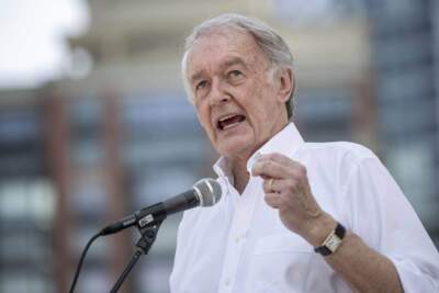 Sen. Ed Markey. (Robin Lubbock/WBUR)