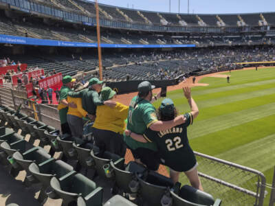 &quot;Right-Field&quot; Will MacNeil and several other A's fans sing &quot;Take Me Out To The Ballgame&quot; in the Oakland Coliseum during the seventh-inning stretch of a game against the Pittsburgh Pirates on May 1, 2024, in Oakland, Calif. (Michael Liedtke/AP)