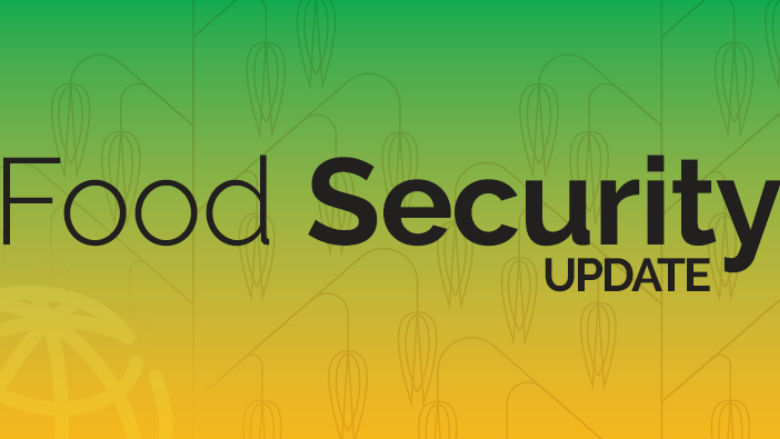 Food Security Update