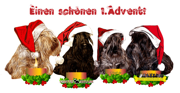 Einen schönen 1. Advent