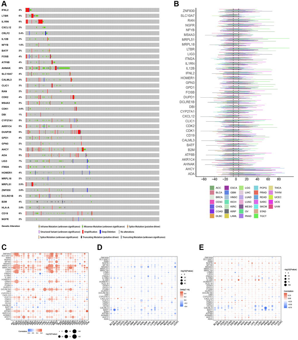 Genomic and epigenetic alterations. (A) Type of genetic variation. (B) The frequency of somatic copy number alterations. (C) The correlation between somatic copy number alterations and the expression of genes. (D) Differential methylation of genes in cancers. (E) The correlation of gene expression and promoter methylation.