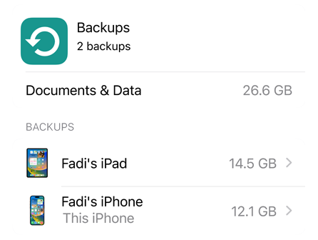 Screen of iCloud Backup data use