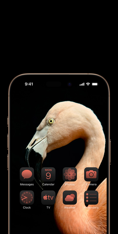 Skærm på iPhone 16 med et dynamisk foto af en lyserød flamingo set fra siden og widgets tonet i en matchende lyserød nuance.