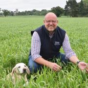 Mark Mayhew manages the Gawdy Hall Estate, in the Waveney valley near Harleston