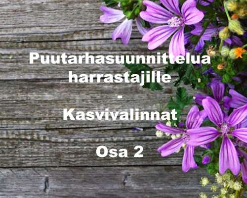 Puutarhasuunnittelua harrastajille – Kasvival...