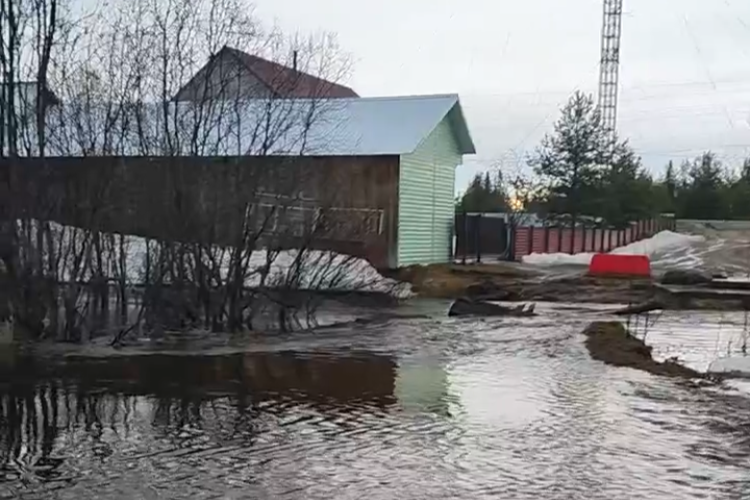 В Ижме из русла вышел ручей Ёль