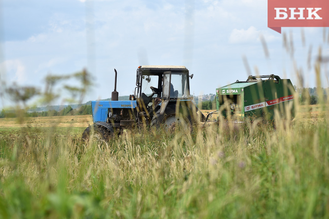 В Коми спрогнозировали снижение урожайности кормовых культур из-за холодной весны