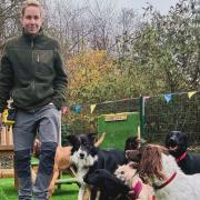 Sarah Newey with her dogs.