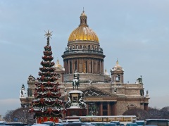 В Санкт-Петербурге впервые наряжена общественная рождественская елка