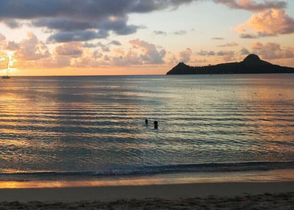 bay gardens saint lucia