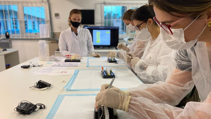 Lab technicians in masks and gloves analyze samples at a lab bench.