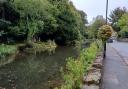 Bonchurch Pond, a gift to the village from Henry De Vere Stacpoole