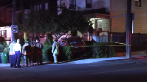 A driver is in custody after crashing into a house near Rogers Road and McRoberts Avenue. (Jacob Estrin/ CP24)