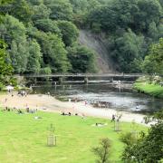 Bolton Abbey stepping stones