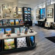 A beacon of creativity and fun, the gallery has become a hotspot for art lovers and locals alike.