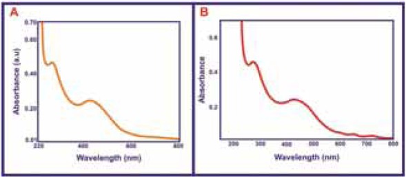 Figure 5 UV-Vis absorption spectra of Ag NPs of (a) A. bilimbi leaf and (b) Plum fruit.