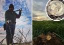 Rob Turrell found the rare aureus coin in a field near Diss