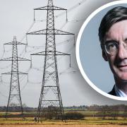 The group has written to Jacob Rees-Mogg, urging him to meet with them about plans for a new line of pylons in East Anglia.