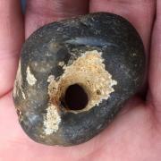 A Norfolk hag stone, said to have a huge range of magical powers