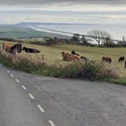 Abbotsbury Hill (Google Maps)