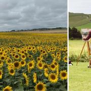 The painting event will take place at Maiden Castle Farm